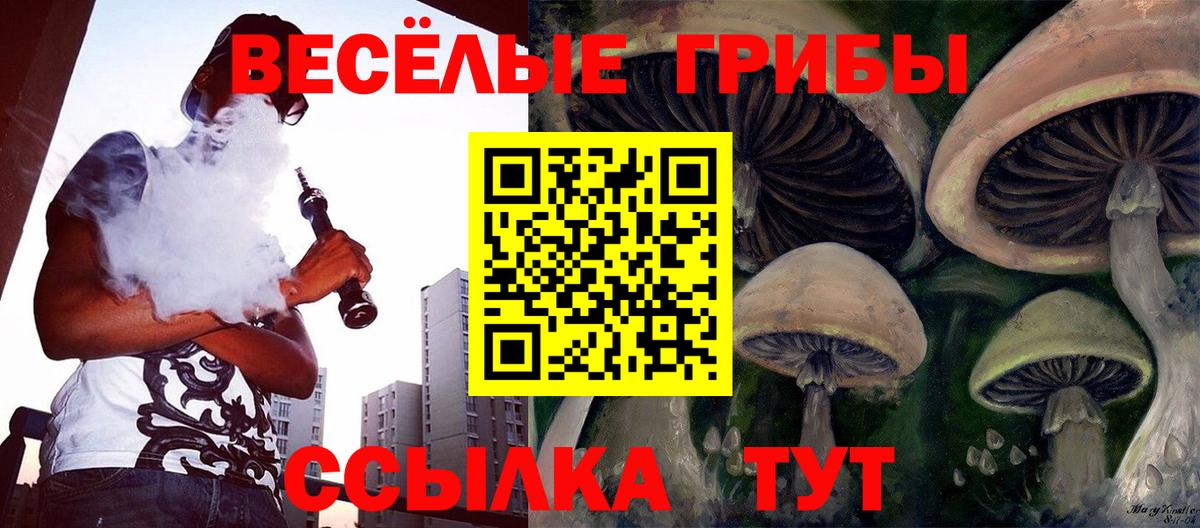 Галлюциногенные грибы прущие грибы  Вход с VPN  Октябрьский 